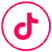 TikTok icon